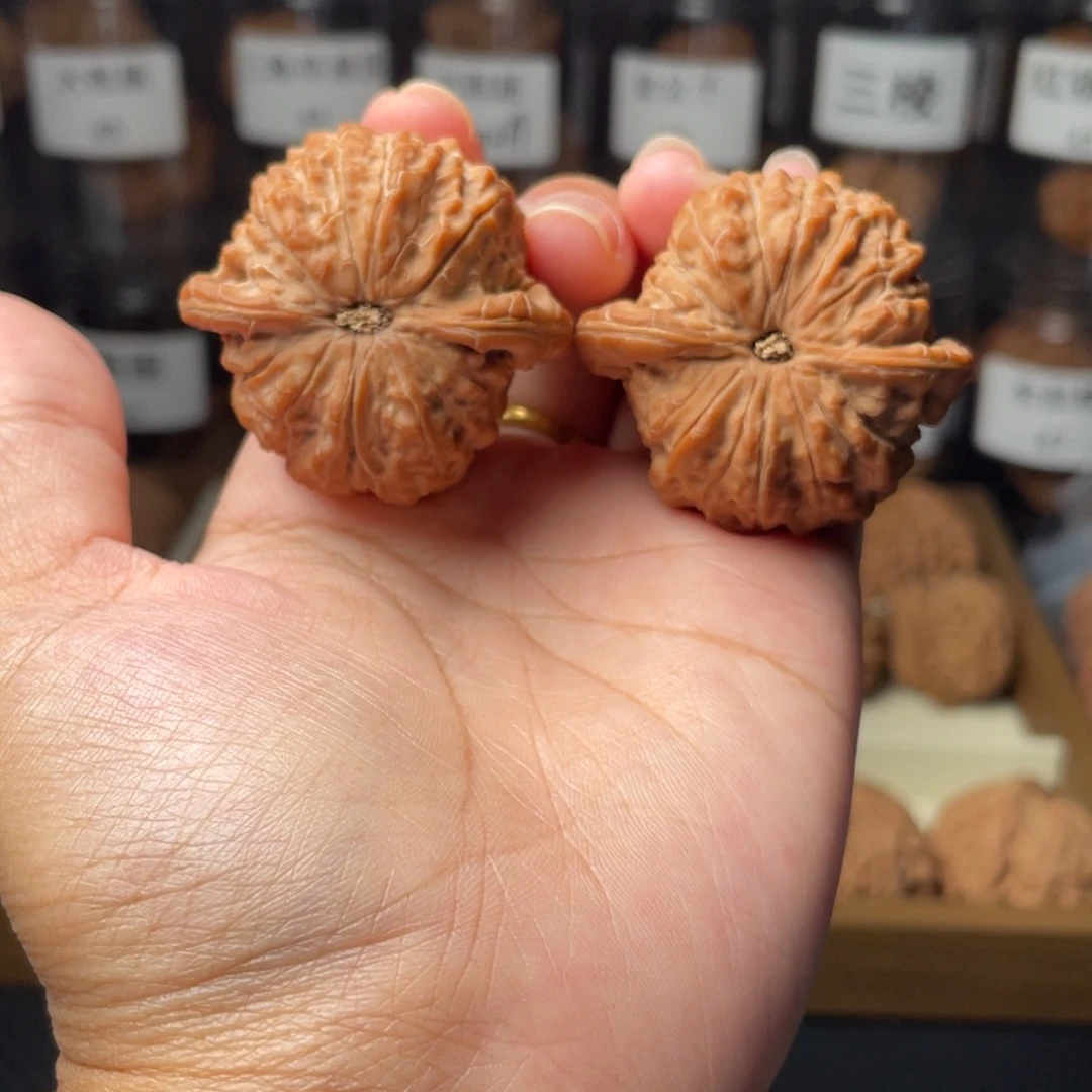 非***哥全品40.5血麒麟全品40.5血麒麟