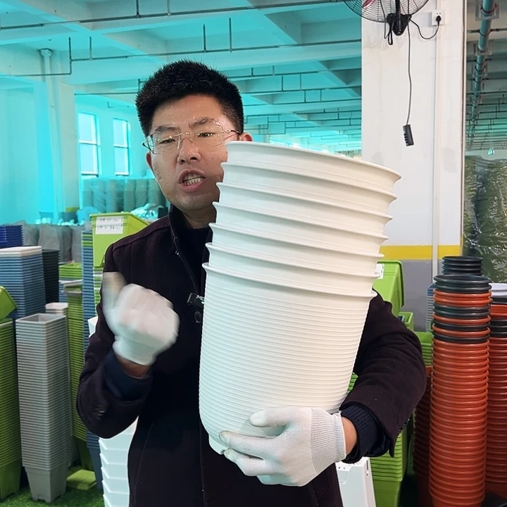 正品高陶口27高27白色4只无托