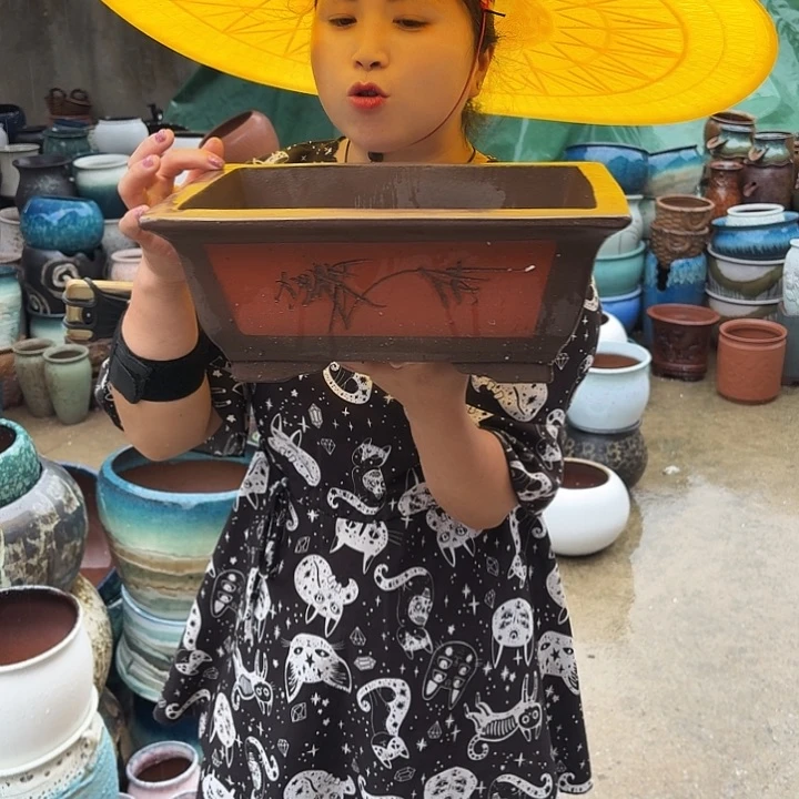 瑕疵一个盆子。
