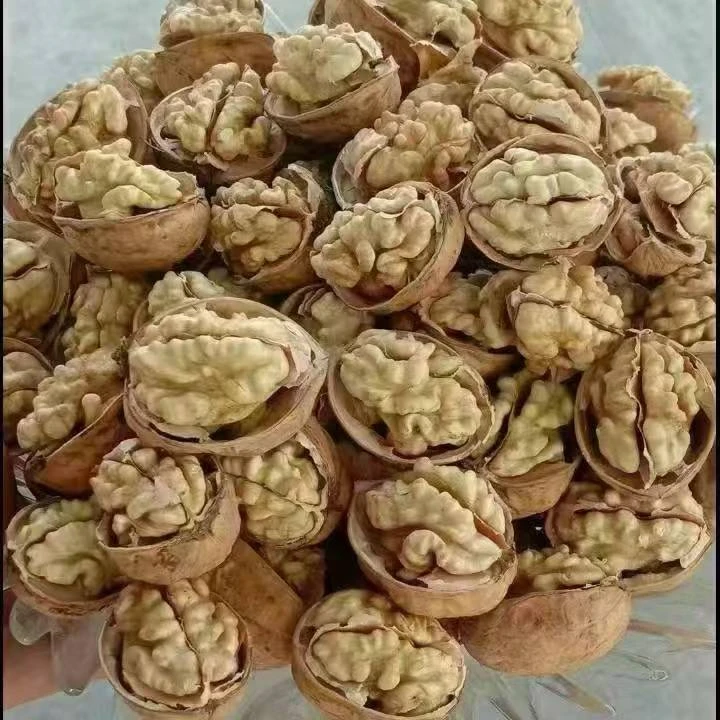 2025年新鲜幸福核桃果肉厚营养饱满食用坚果薄皮核桃纸皮核桃