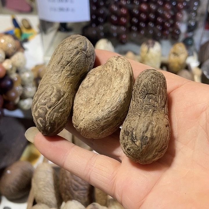 .***.把件千眼菩提天然千眼菩提不退不换