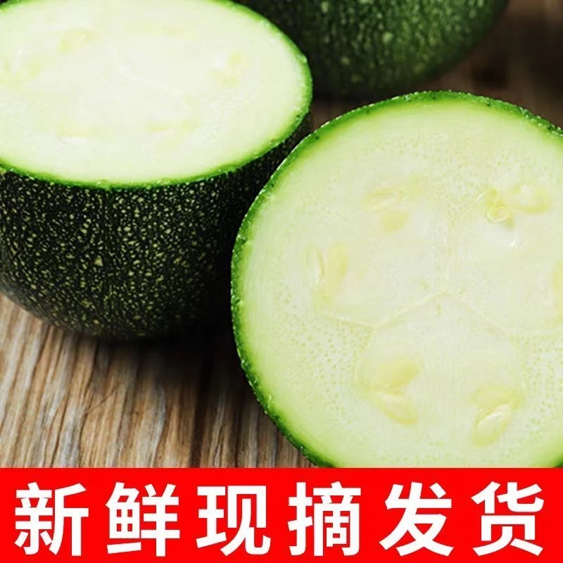 可也自种贝贝南瓜