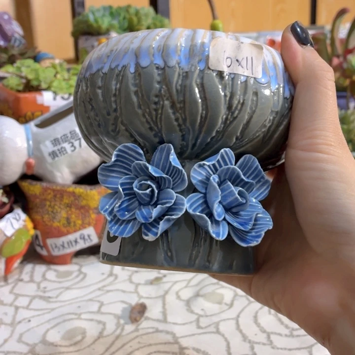 多肉花盆满15包邮