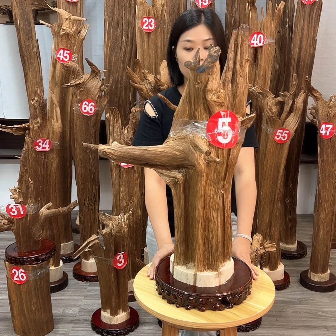 沉香碎屑沉香碎屑