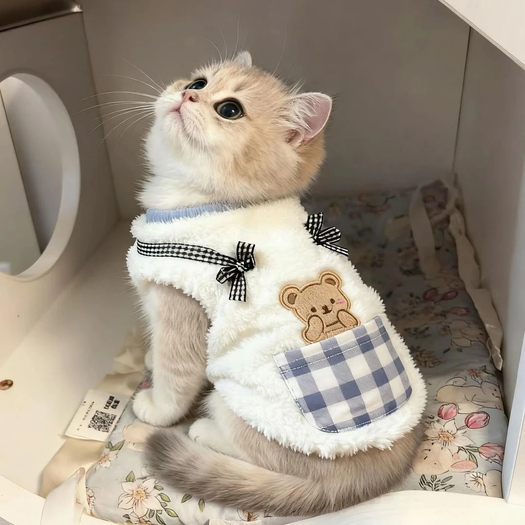 猫咪衣服秋冬装金渐层银渐层橘猫矮脚猫咪卫衣保暖衣服口袋熊绒衣