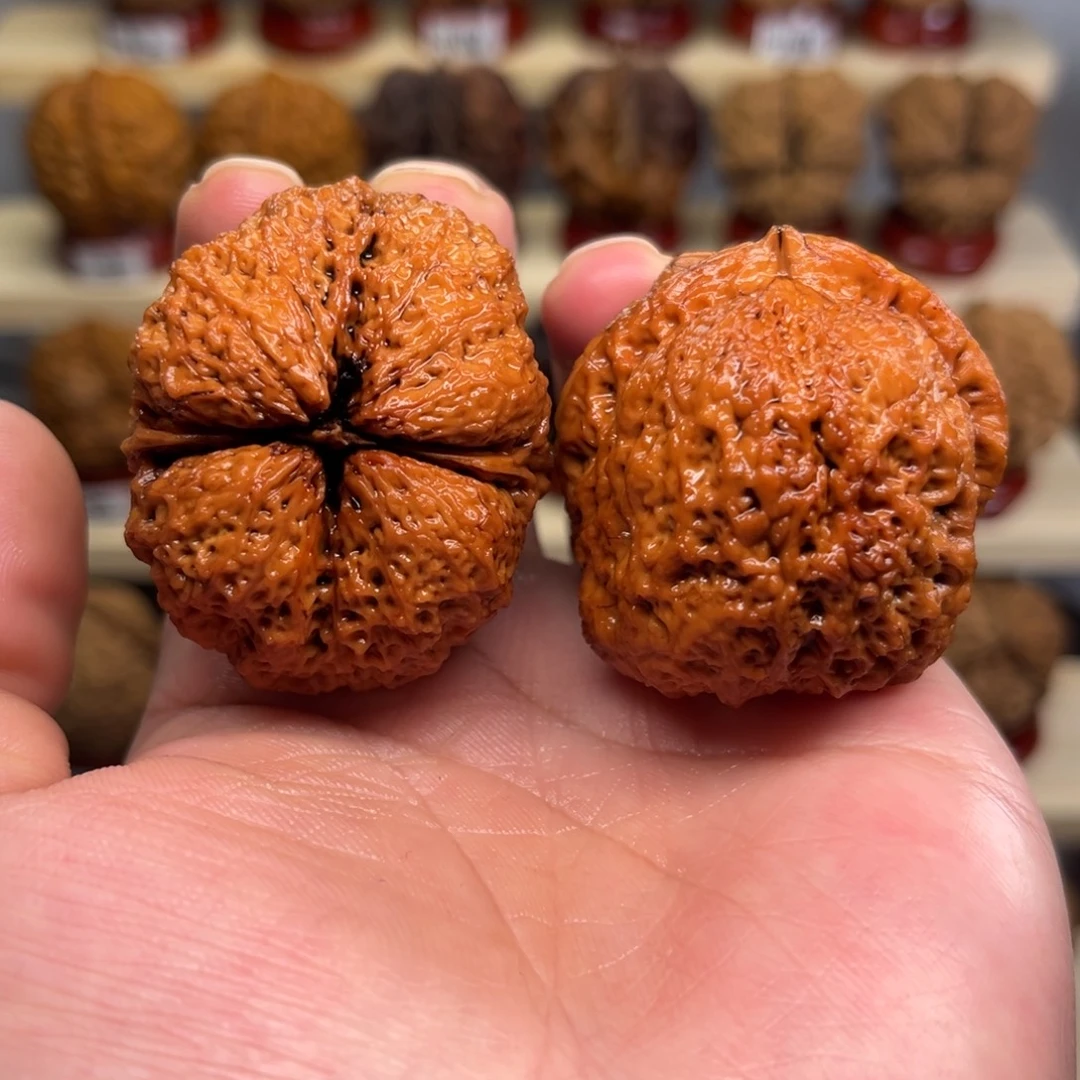 核桃闪10帝王蟾44尺