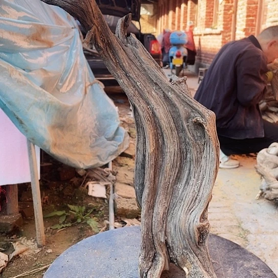 柏***家香榧木崖柏崖柏崖柏