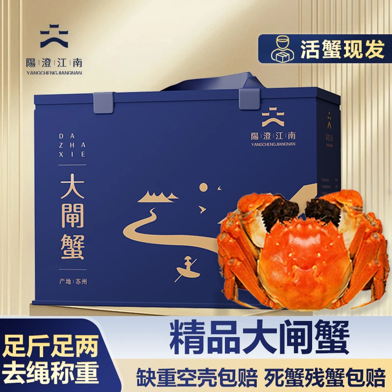 【活蟹】阳澄江南精品大闸蟹全母3.8-3.5两6只+2只/8只+2只礼盒装Z
