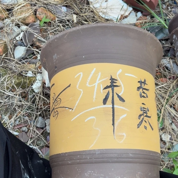 紫砂花盆紫砂的颜色