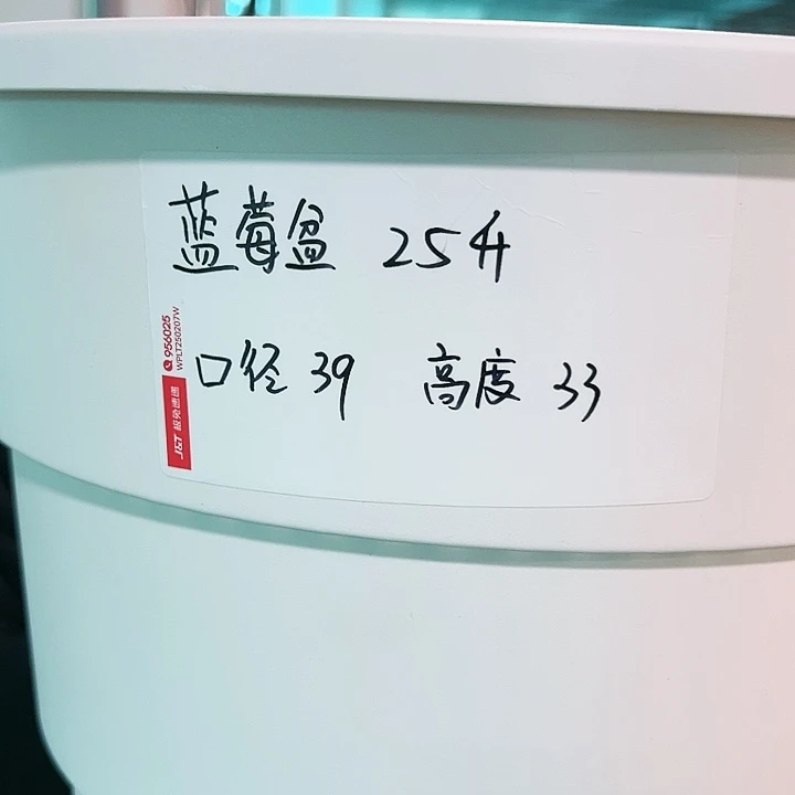 正品蓝莓口39高33白色3个带托