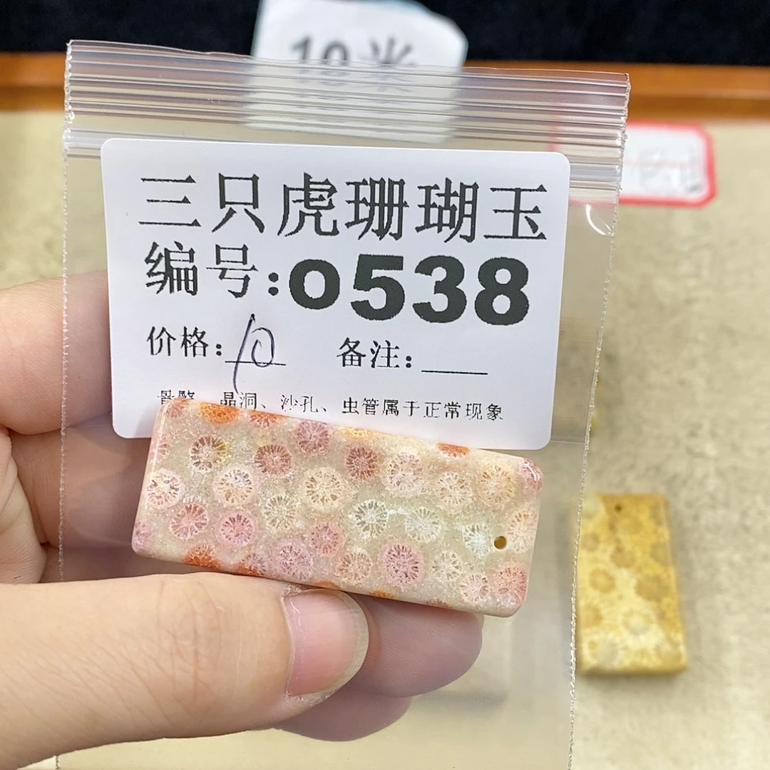 硅化珊瑚（珊瑚玉）1未镶嵌?****猫