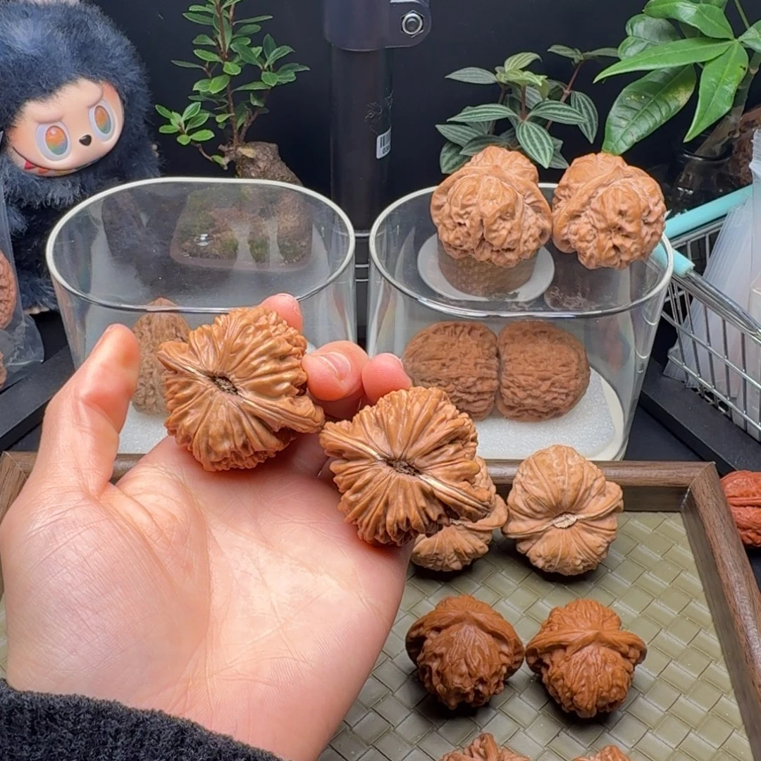 龙脊菩提吊坠四座楼（微微微修打底）