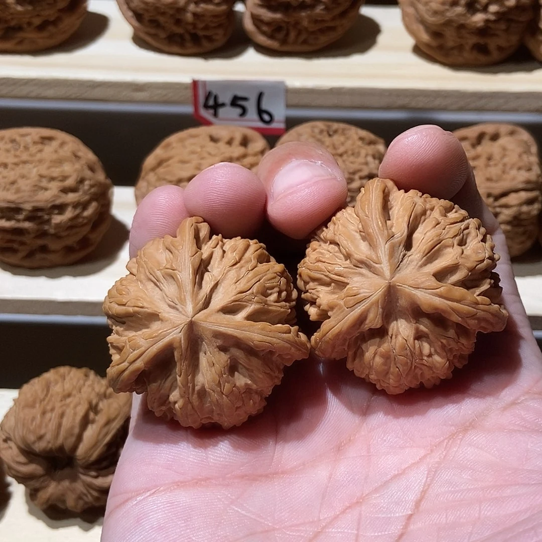 ****全品无修，文山3陵