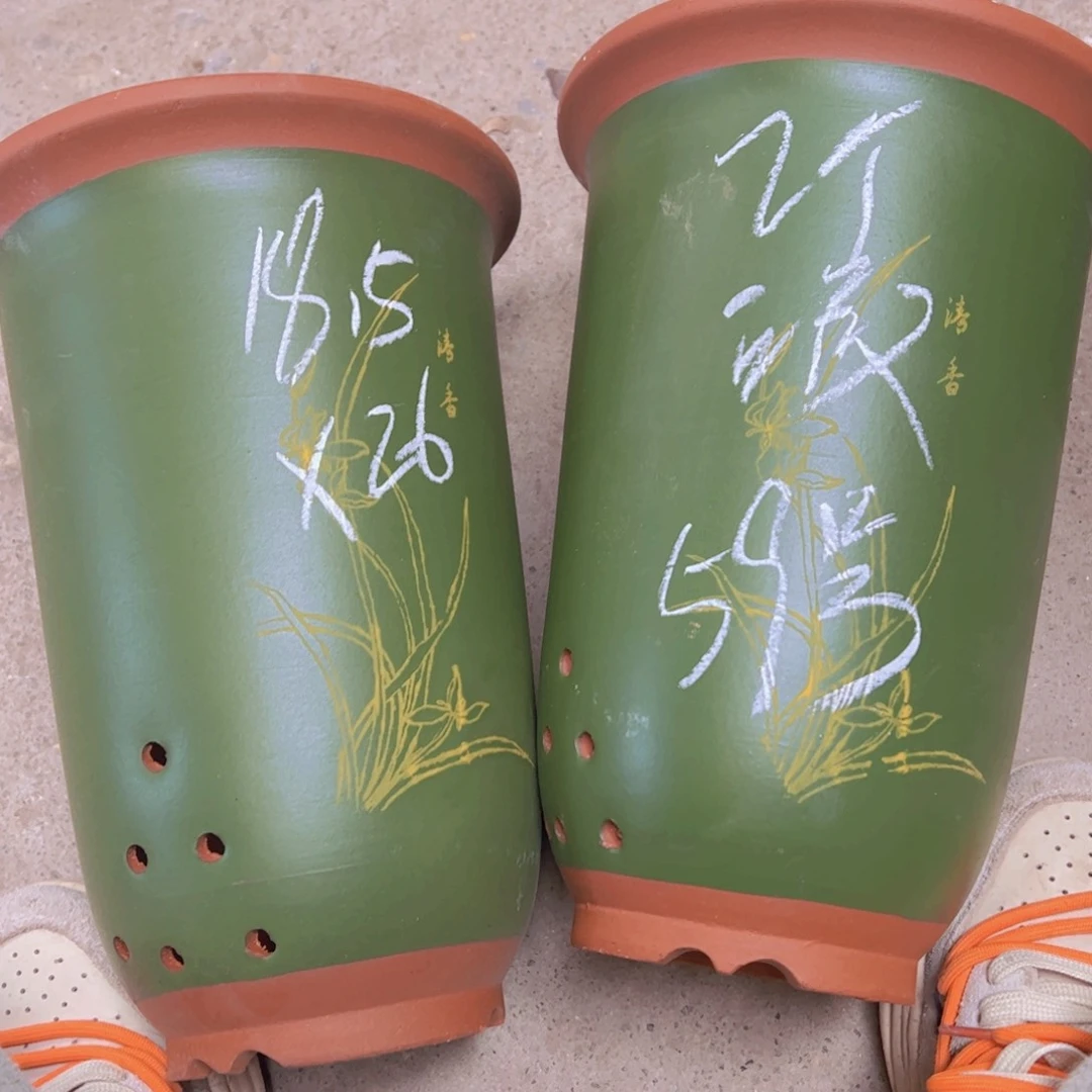 紫砂59………………………………