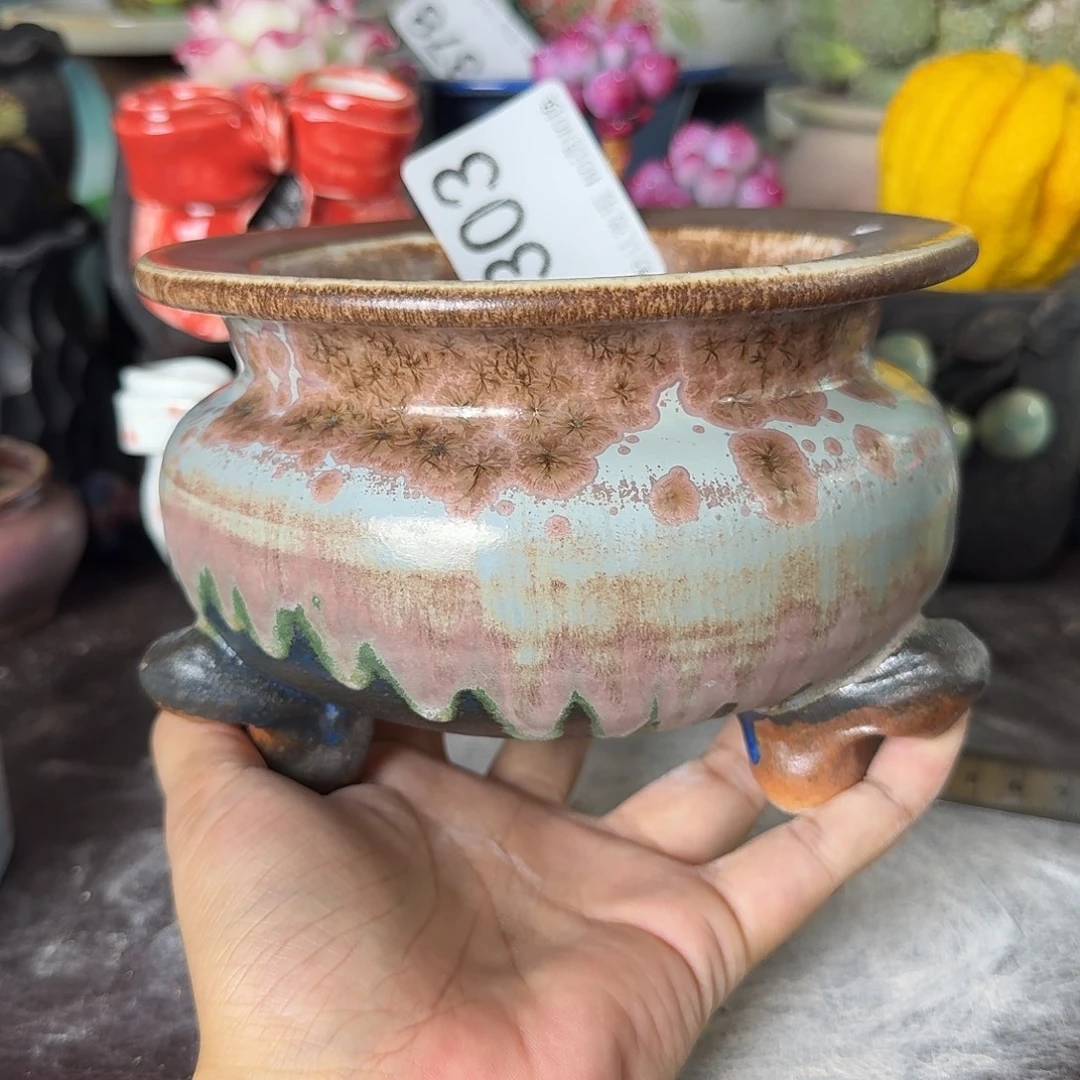 重庆小燕子欢迎大家303
