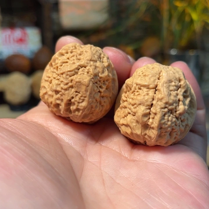 把件文玩核桃编号61