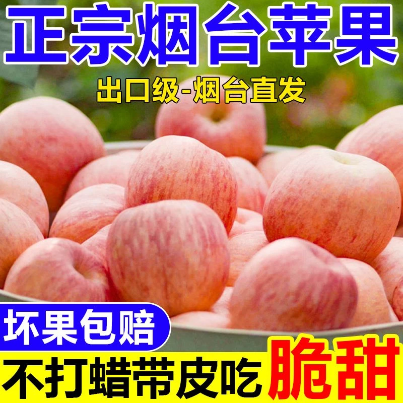 【包邮发货】正宗烟台栖霞红将军苹果当季现摘苹果新鲜脆甜多汁皮薄
