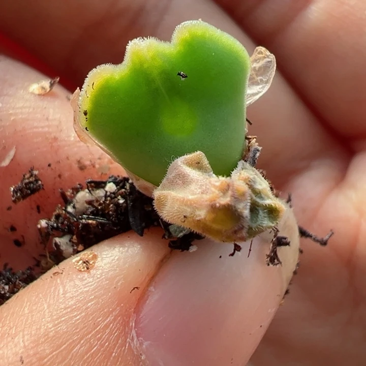 206号11111111111111