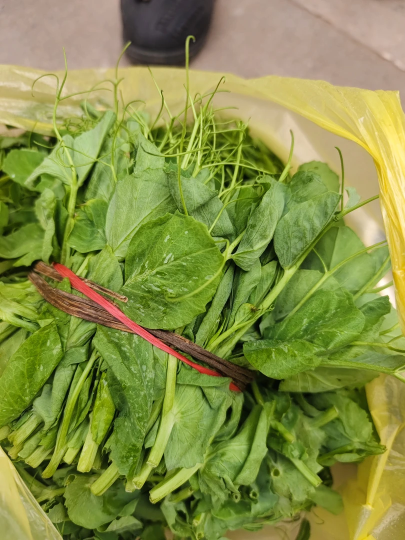 （千城上品）贵州农家露天种植豌豆尖