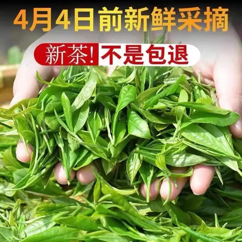 2024信阳毛尖新茶雨前手工茶耐泡绿茶茶叶口粮茶高山炒青春茶茶包