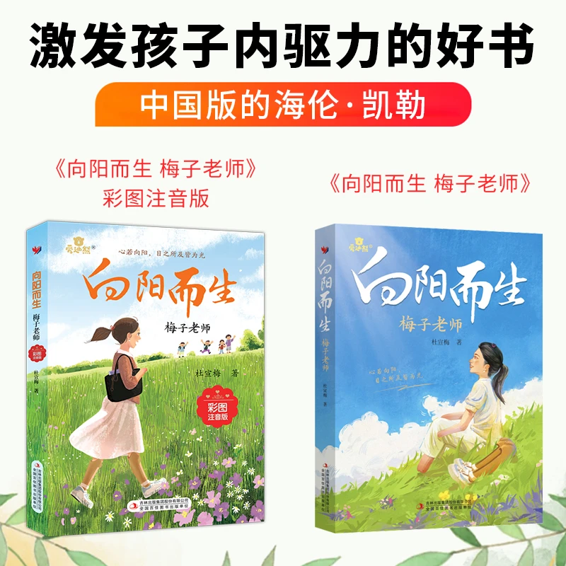 梅子老师首部个人传记  钻石的光芒总是从伤痕开始 向阳而生