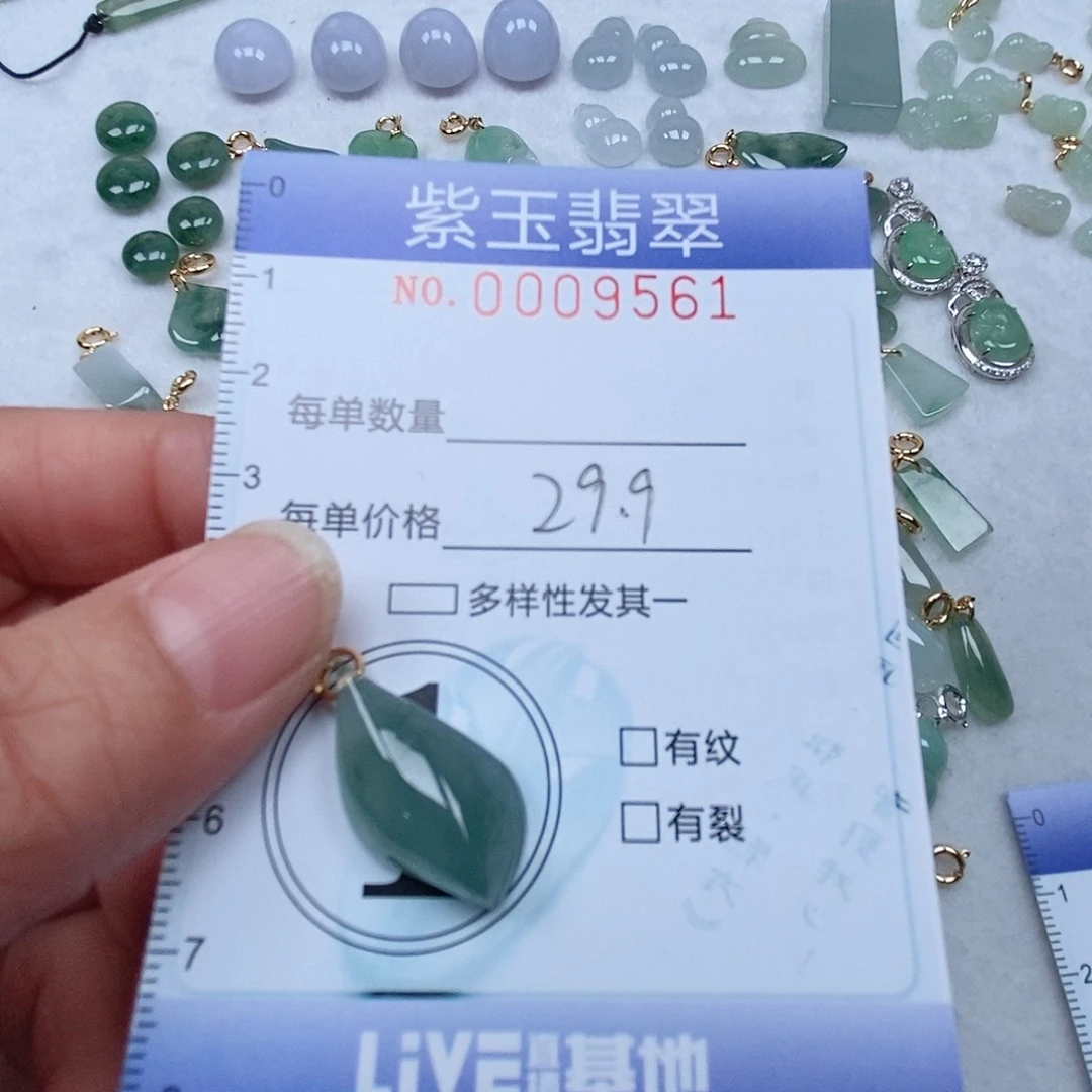 翡翠未镶嵌颈饰冰随行