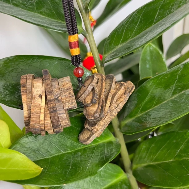 沉香新人分辩真假标本奇楠沉香原材料车挂多样性发一  拍二发三