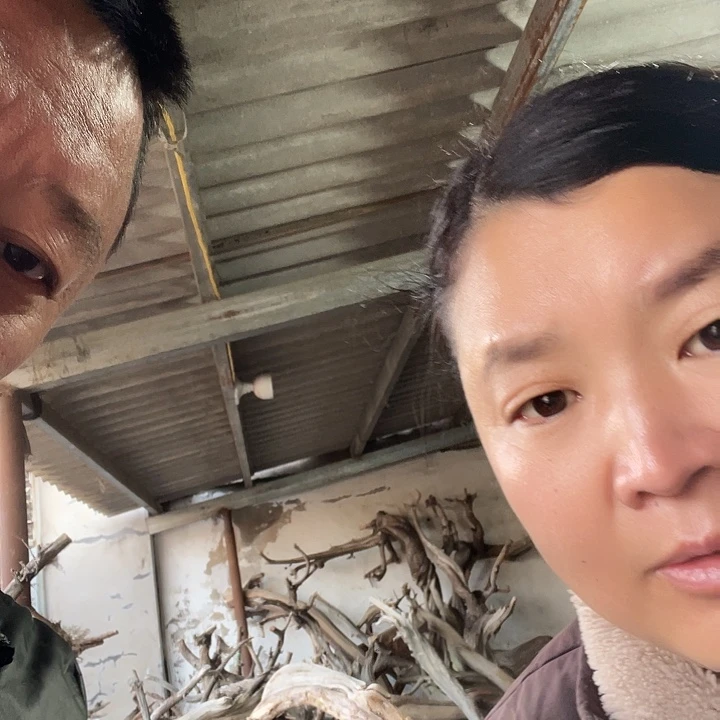 香榧木造型摆件 熏香 摆件手把件