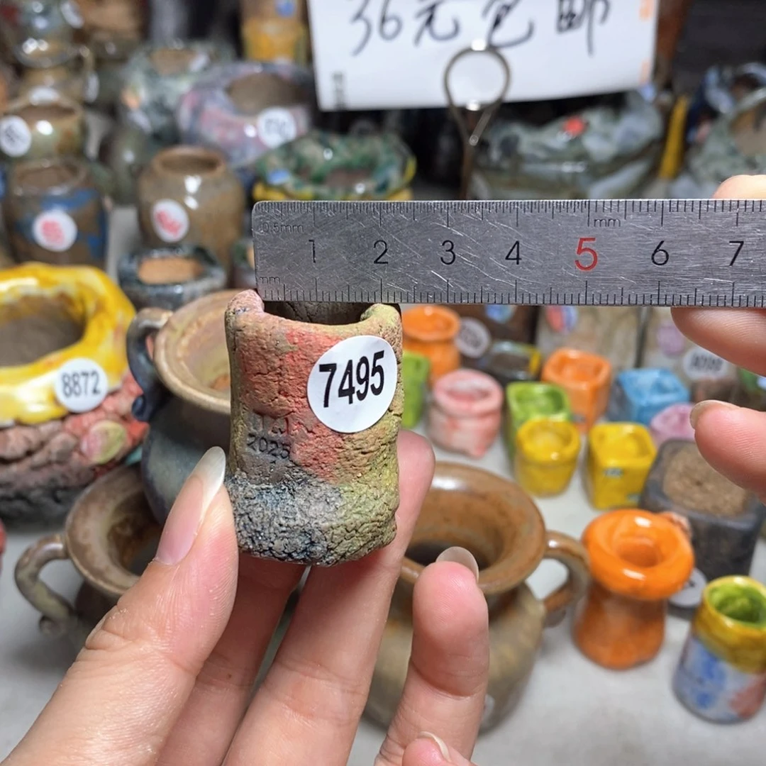 拍5送一个小礼物