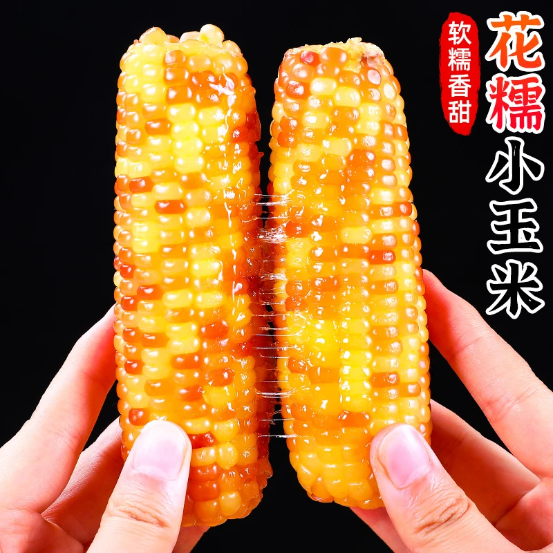 【软糯香甜】西双版纳花糯小玉米1-5斤小玉米棒真空即食代餐粗粮