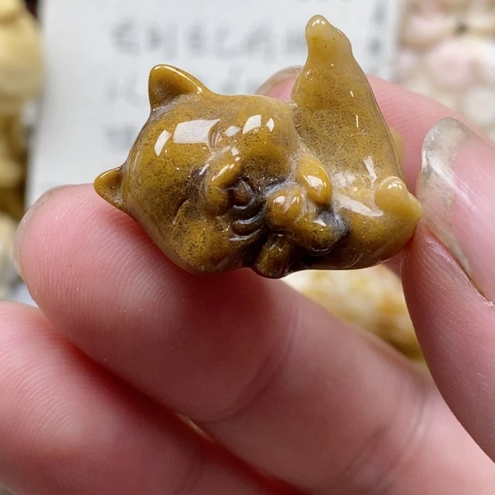 颈饰未镶嵌硅化珊瑚（珊瑚玉）没打孔 小