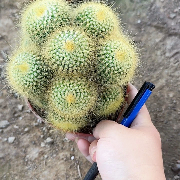 峰***3哈哈哈哈哈哈哈姐姐