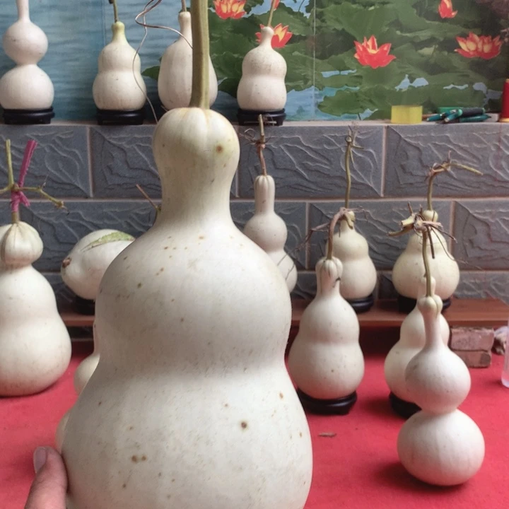 ᰔ****中号现货供应产品