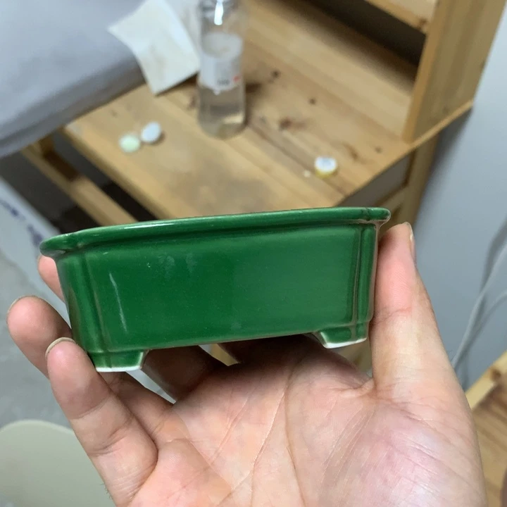 清***欢好的我真的是太喜欢