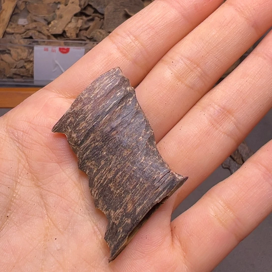 沉香碎屑沉香海南大山沉水老虫漏1.9克