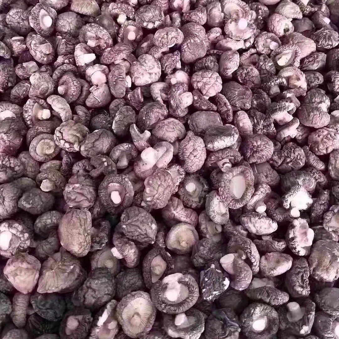 厚肉金钱菇 深山小香菇干货无硫