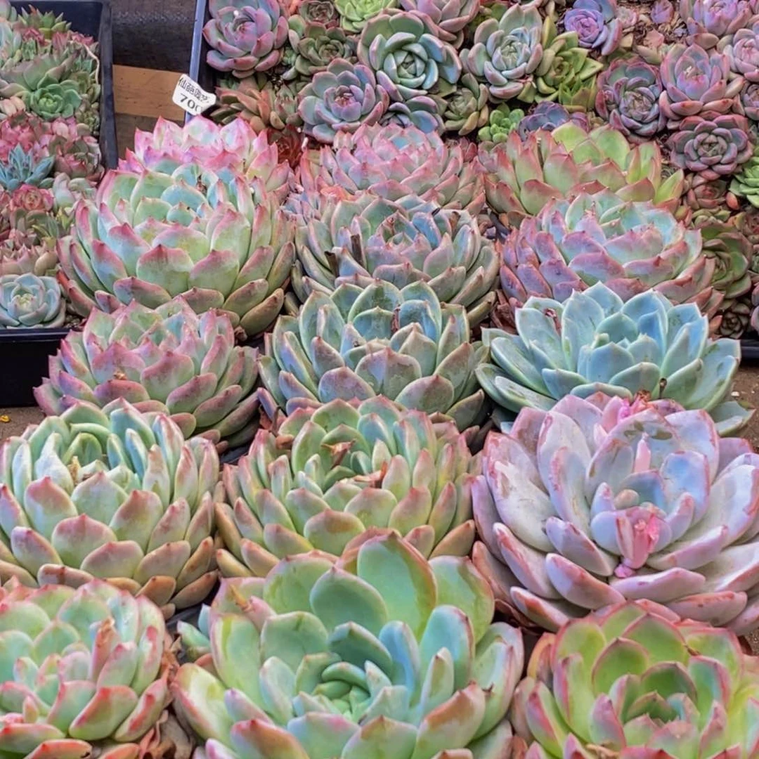 708的人在一起的时候我也不