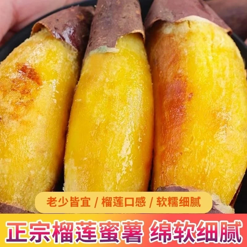 云南高山榴莲蜜薯新鲜红薯黄心甜糯地瓜新鲜采摘产地直发