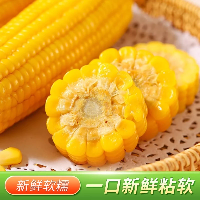 【可试吃两根】东北黄糯玉米当代餐糯玉米真空包装黏玉米整箱14根