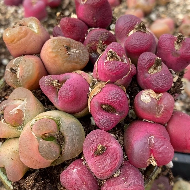 284有伤一组一组