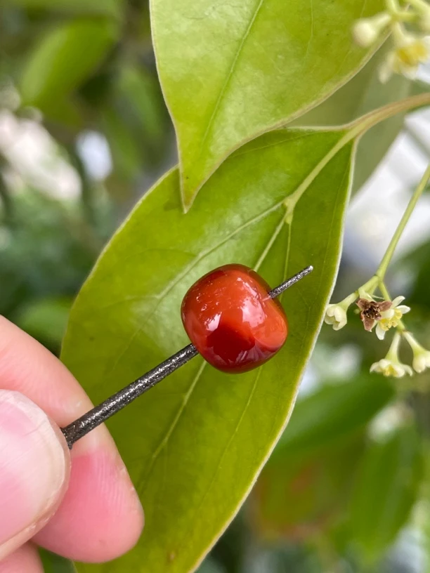 精品南红老型珠配饰尺寸10x8.4mm颜色红润牛血柿子红