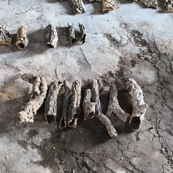 完全开放顺顺利利，平平安安