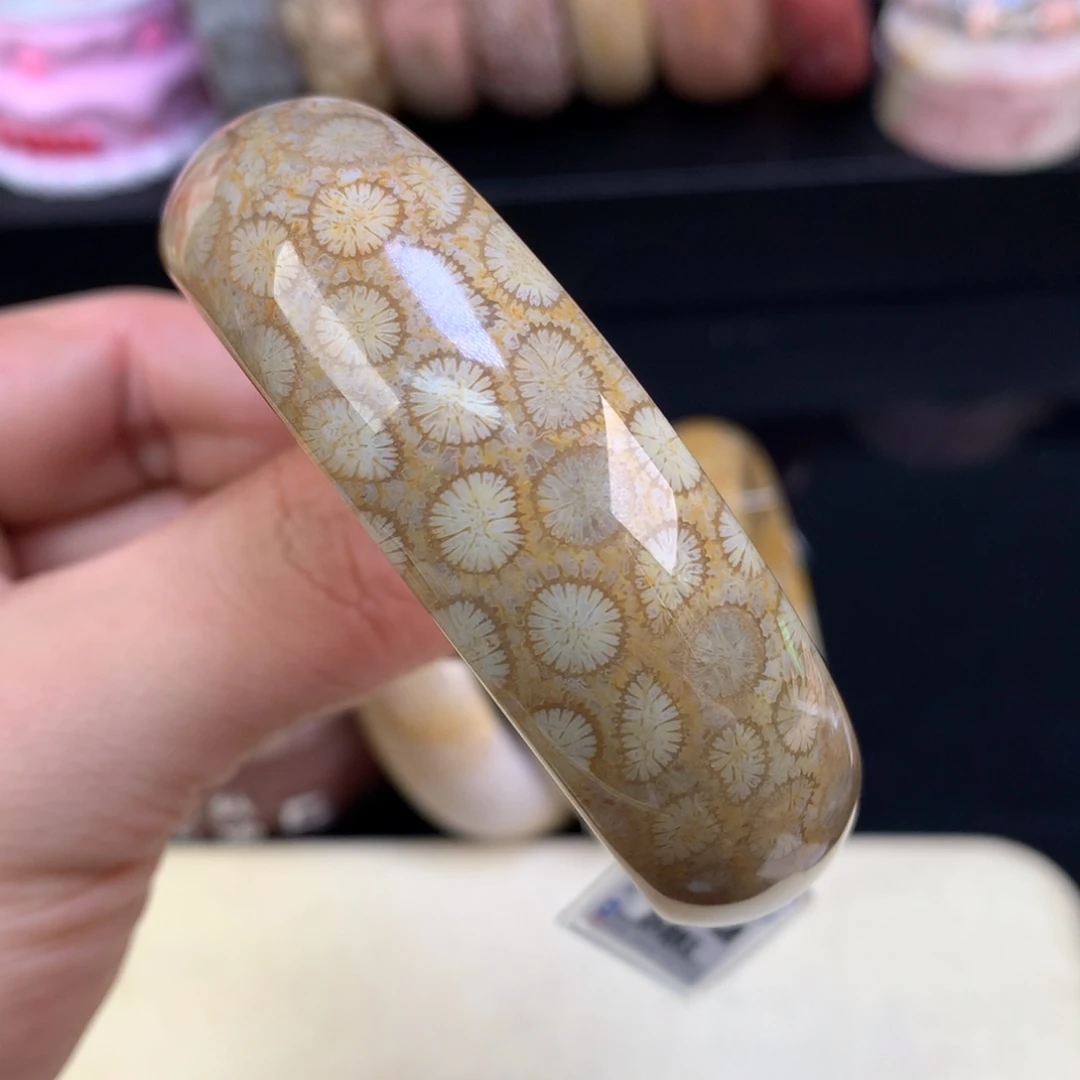 硅化珊瑚（珊瑚玉）未镶嵌颈饰48号57.6圈皮豹纹