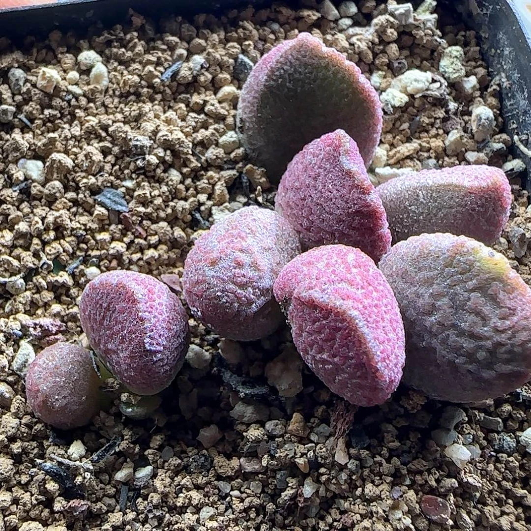 哈哈哈哈哈哈哈54965