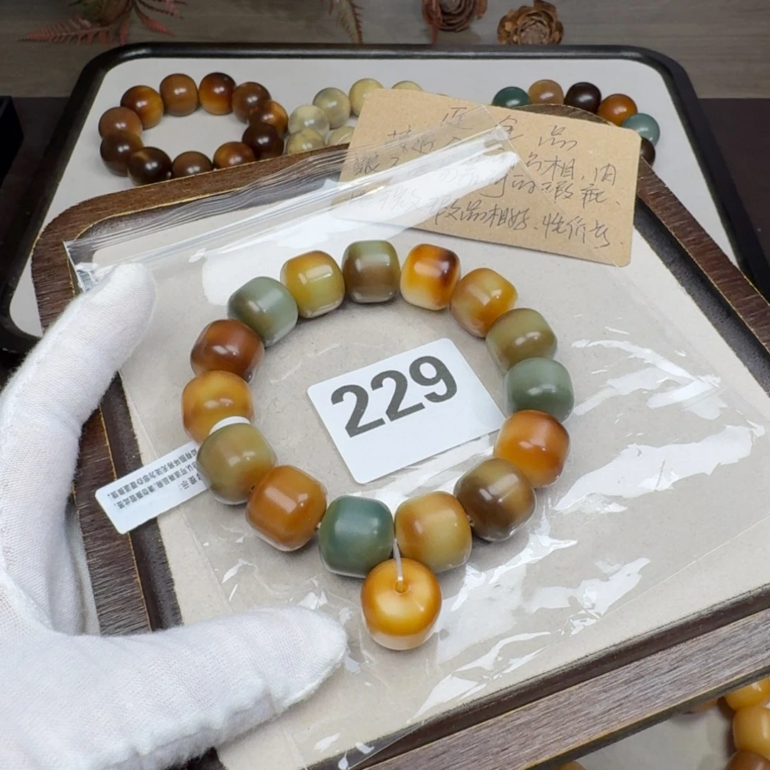 菩提根/象牙果吊坠✿*牋近全16