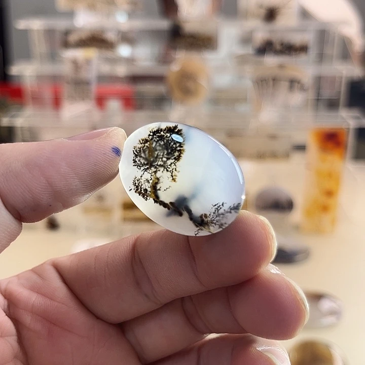 未镶嵌吊坠(不含链)玛瑙/玉髓