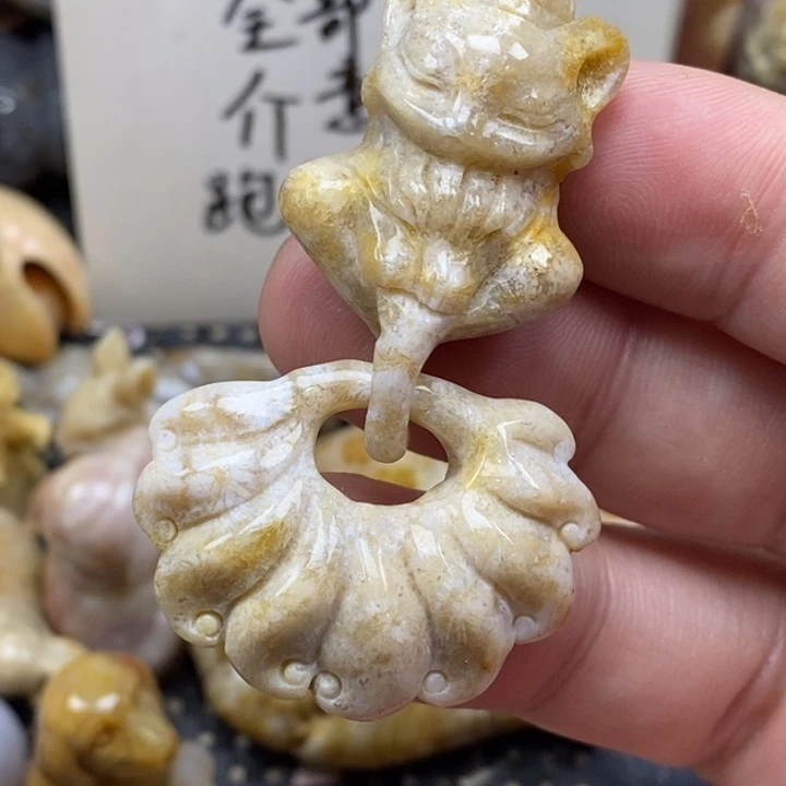硅化珊瑚（珊瑚玉）未镶嵌颈饰