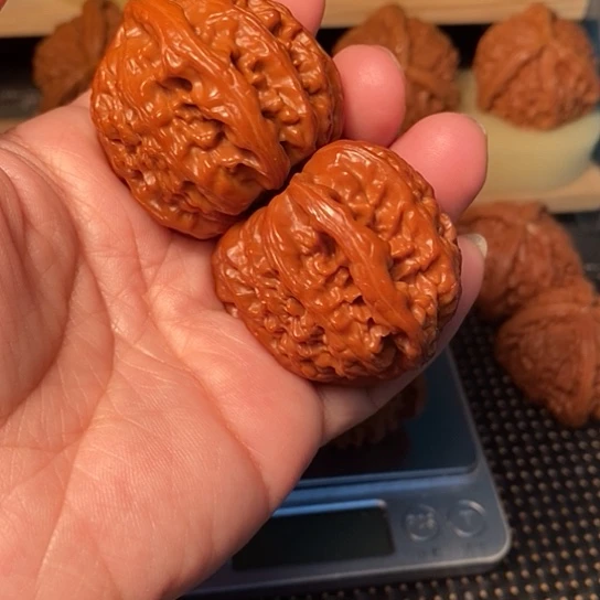 暴***）核桃核桃核桃核桃