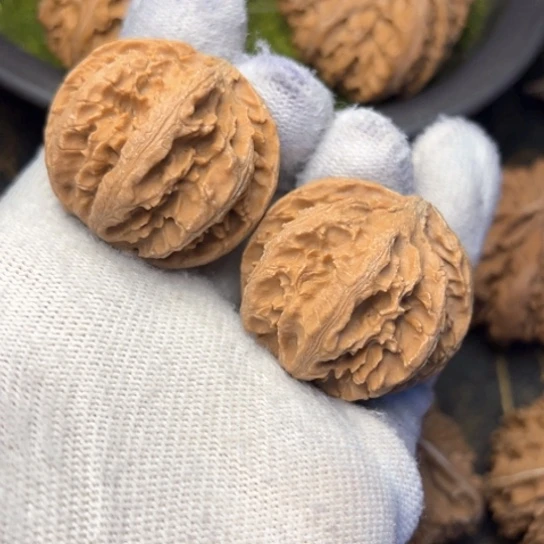 文玩核桃把件秦岭核桃9