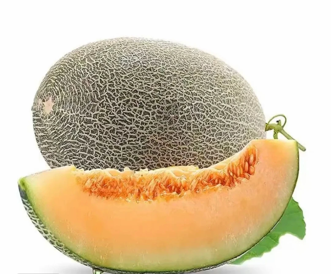 【伽师瓜大瓜】新疆直发头茬伽师瓜净重6-8斤/个【京东顺丰包邮】
